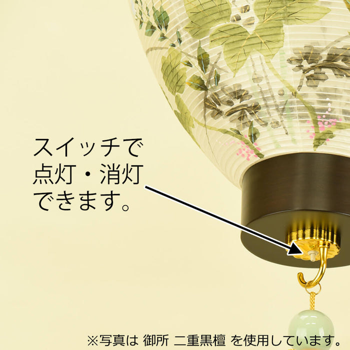 盆提灯 御所 梨仙 特徴 5