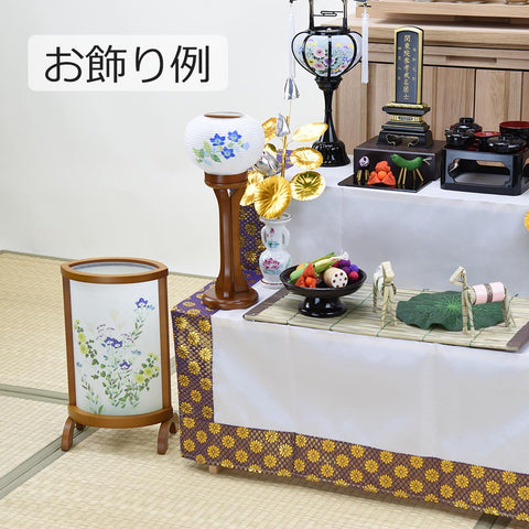 新型 優美1号 秋草 菊