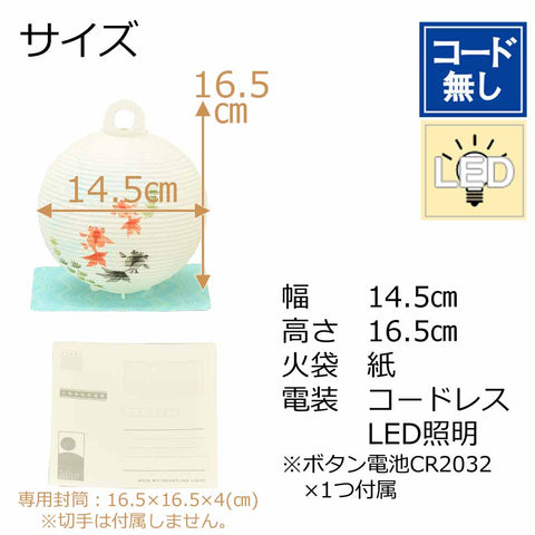 新型 レター提灯 きんぎょ