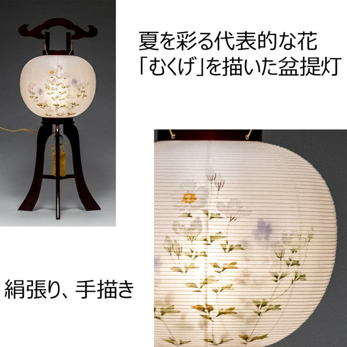 盆提灯 姫行灯 特９号 むくげ 特徴 4
