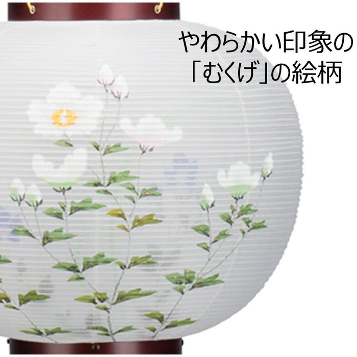 盆提灯 姫行灯 特９号 むくげ 特徴 5
