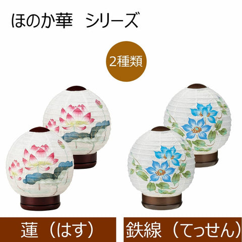 新型 ほのか華 1号 蓮 対 24716A 特徴6