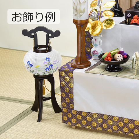 姫行灯 絹張 晏華 7号
