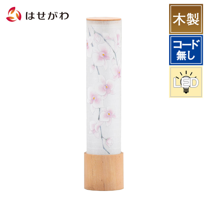 盆提灯 新型 峰 270 柿渋桃色 胡蝶蘭 特徴 1