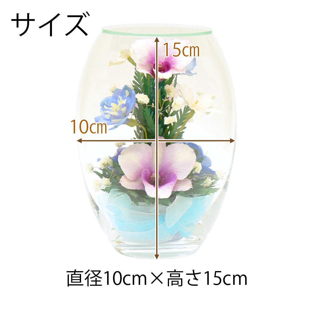 売上実績NO.1 4545987005052b10.jpg?v=1682134276 モビール
