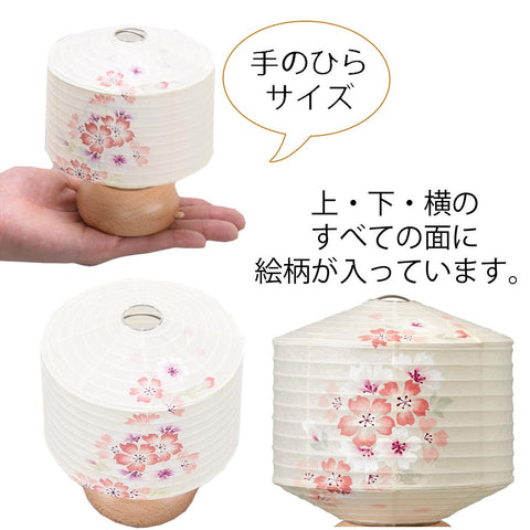 新型 ココラン 古典桜
