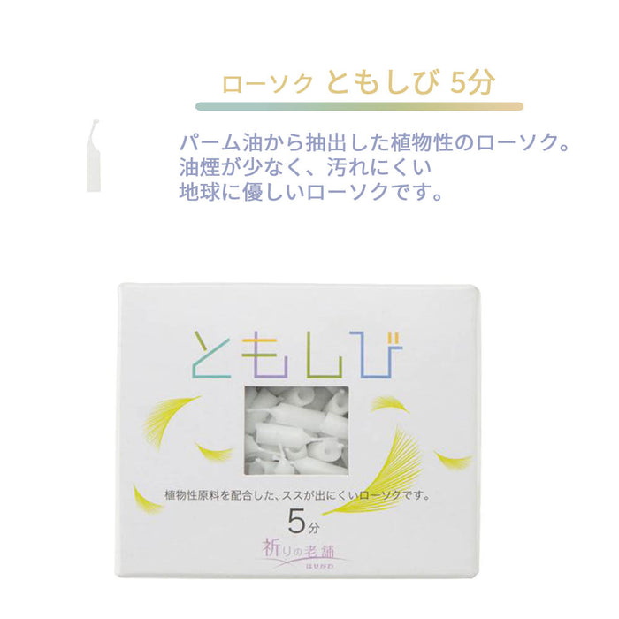 ギフト 線香 未来 mini×ともしび | お仏壇のはせがわ公式通販