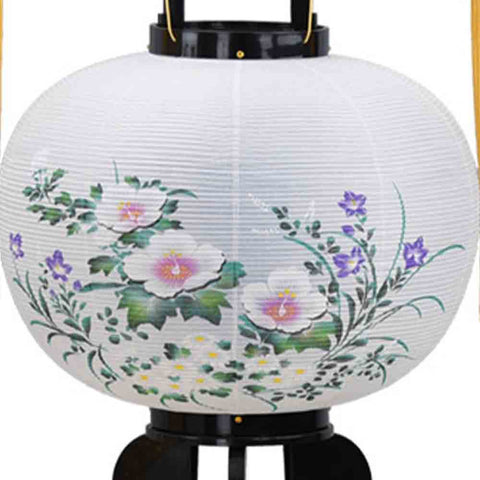 回転 みさき 影付芙蓉
