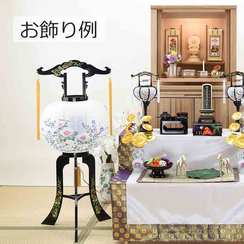 回転 みさき 影付芙蓉