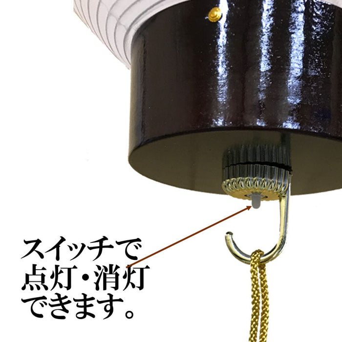 盆提灯 御所 銘木ワイン 鉄仙 特徴 6