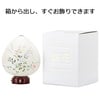 新型 極み結花 LED 秋草