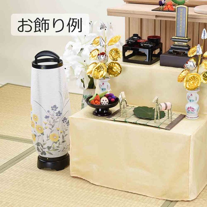 新型 回転あけぼの 2号 菊桔梗