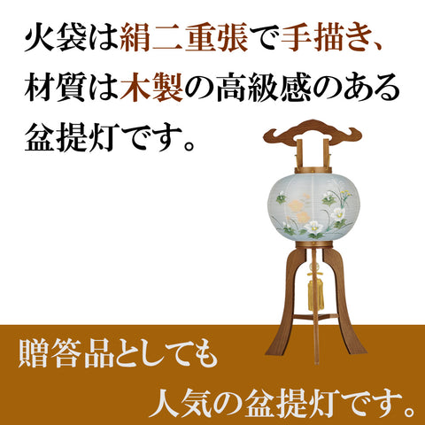 姫行灯 9号 芙蓉 二重ボカシ