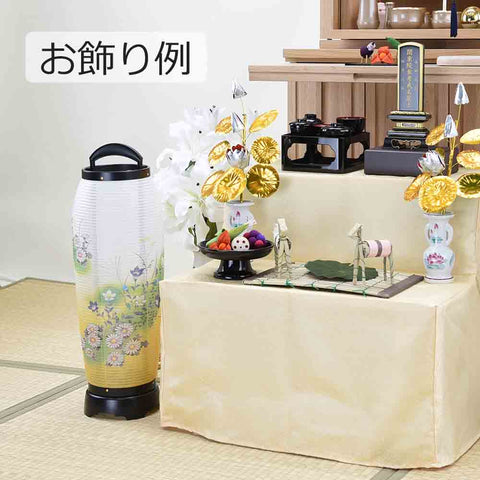 回転 あかつき 2号 菊桔梗