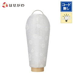 【WEB限定】新型 小珠 紙張 白紋天