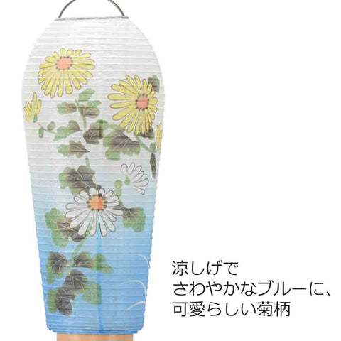 新型 小珠 美濃菊