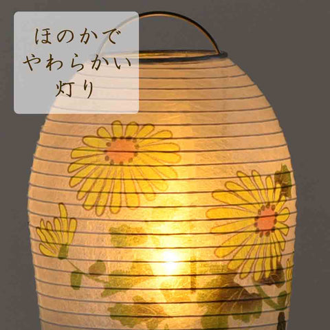 新型 小珠 美濃菊