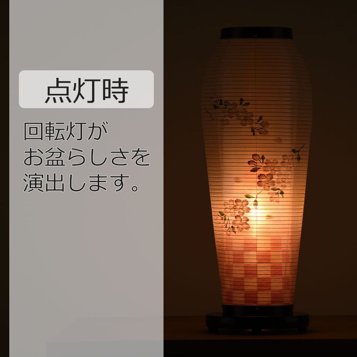 新型 はごろも3号 桜調