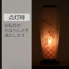 新型 はごろも3号 桜調