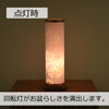 新型 のどか 蓮華 ナチュラル
