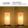 新型 あかりモダン 凛咲 (りいさ)