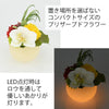 灯す（トモス）ボール 胡蝶蘭ＺＡ５３５０ 特徴2