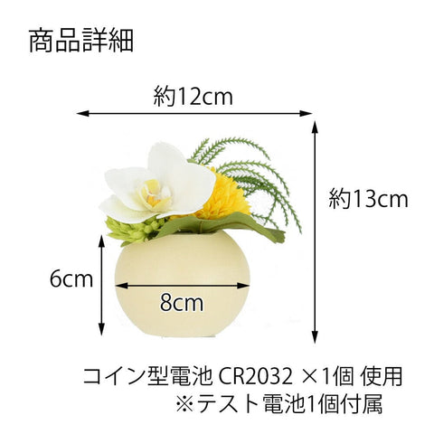 灯す（トモス）ボール 胡蝶蘭ＺＡ５３５０ 特徴6