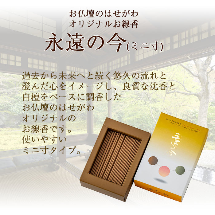 真作】掛軸 大橋香林 白雲自悠々 禅の精神を表現した一作 共箱入