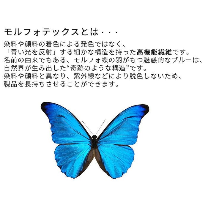 位牌 月あかり  4.5寸  総丈18.9㎝  特徴7