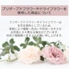 ギフト・贈答用 ボトルフラワー スライドエッググラス 小 ラン 特徴 7
