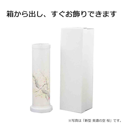 新型 美濃の空 桜
