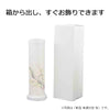 新型 美濃の空 桜