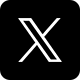 X icon