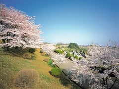 東京霊園