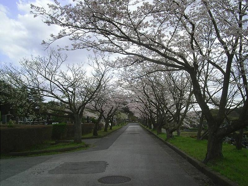 市原市営海保墓園