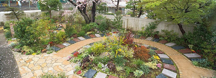桜の木と庭園型の樹木葬