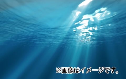 散骨