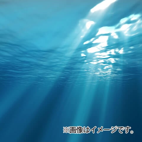 散骨