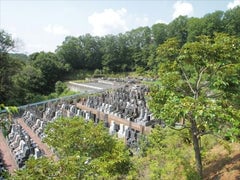 浄光の森聖地