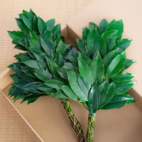 榊