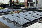 総武霊園 樹木葬 菩提樹