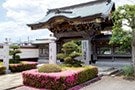 海福寺 樹木葬 杏樹
