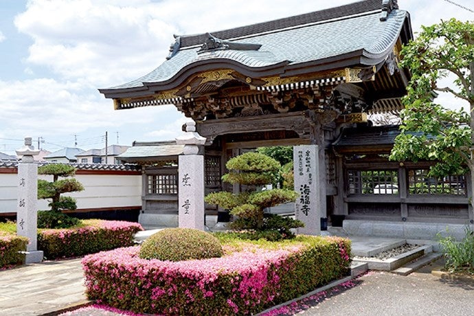 海福寺 樹木葬 杏樹
