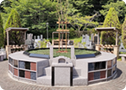 はじめての樹木葬の選び方