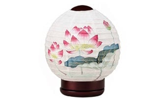 新型 ほのか 華1号 蓮