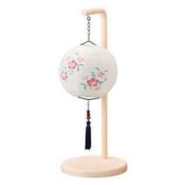 新型クオレルーチェ白紋天・撫子