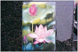 蓮の花のクロマリンアート例の画像
