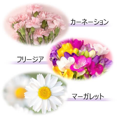 春の花3種