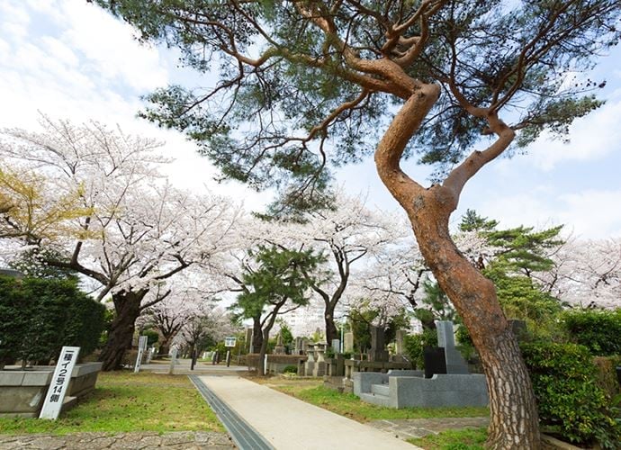 青山霊園