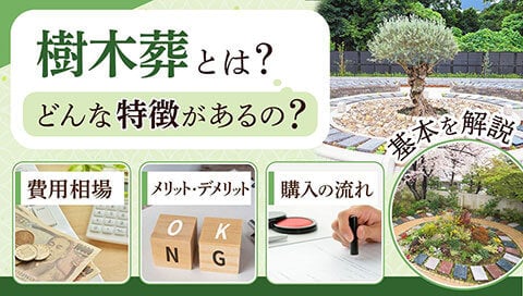 樹木葬とは記事のサムネイル